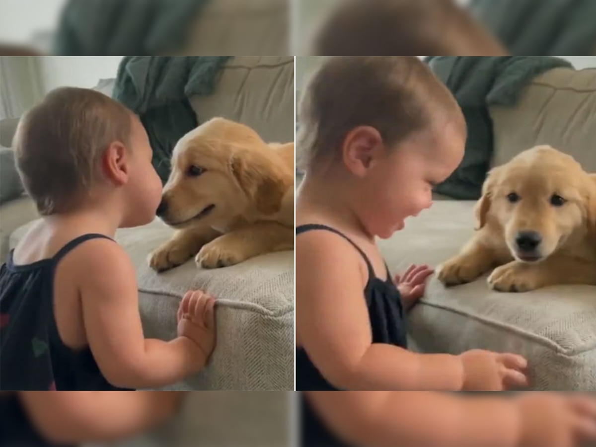 Baby Kissed Dog: बच्ची ने डॉगी को किया Kiss और फिर शर्माने लगी, VIDEO देख हो जाएगा दोनों से प्यार