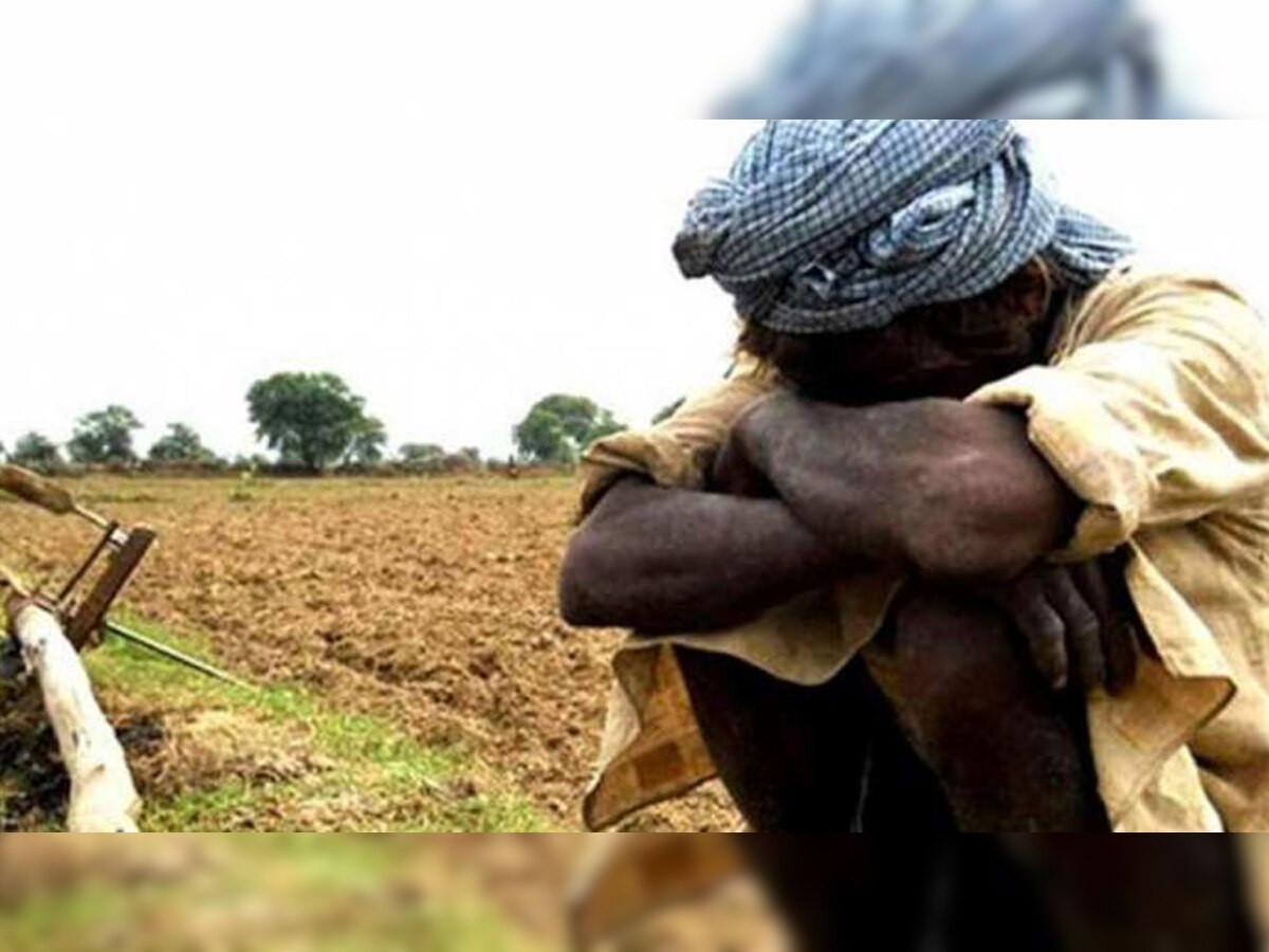 झारखंड के किसानों पर पड़ रही मौसम की मार, बारिश के बिना सूख रही फसलें