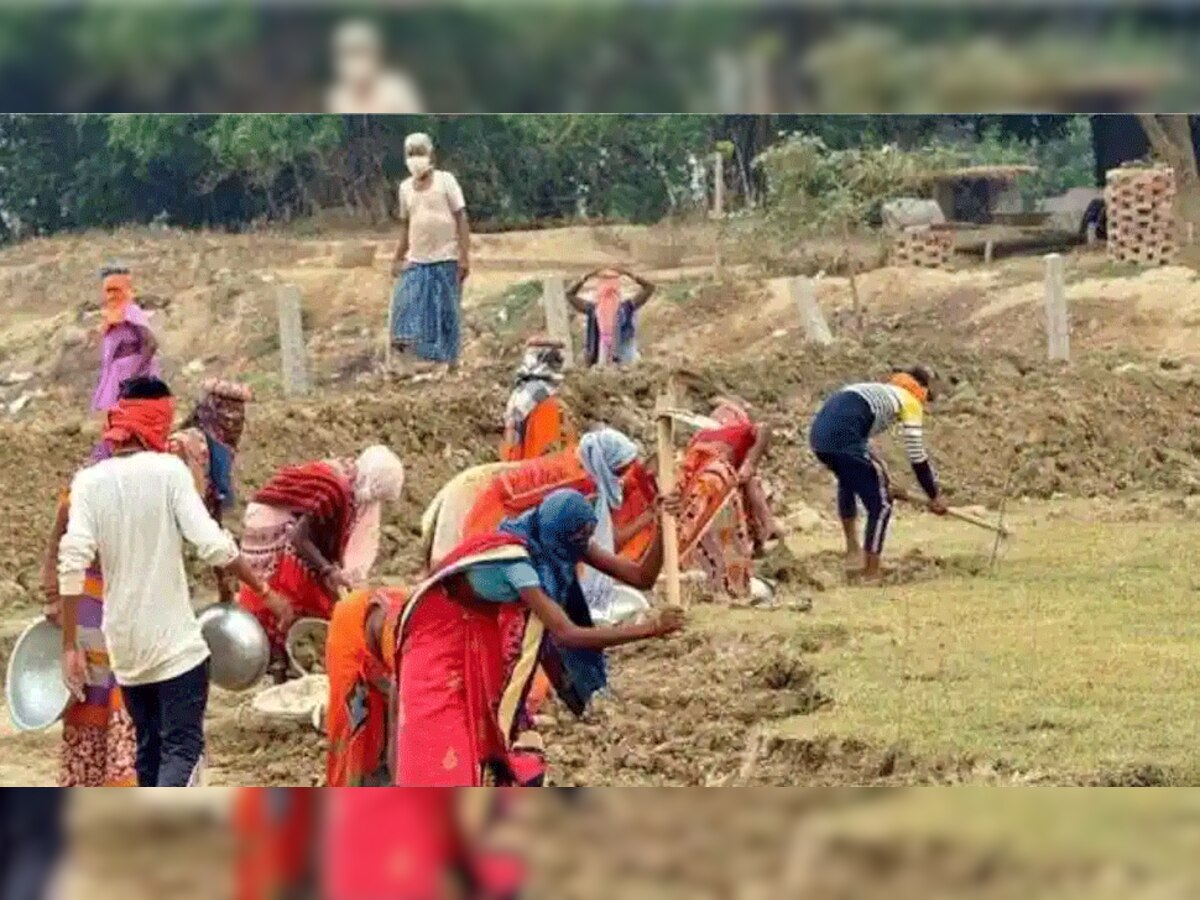 राजस्थान के शहरी बेरोजगारों के लिए बड़ी खुशखबरी, जल्द मिलेगा रोजगार, करें आवेदन