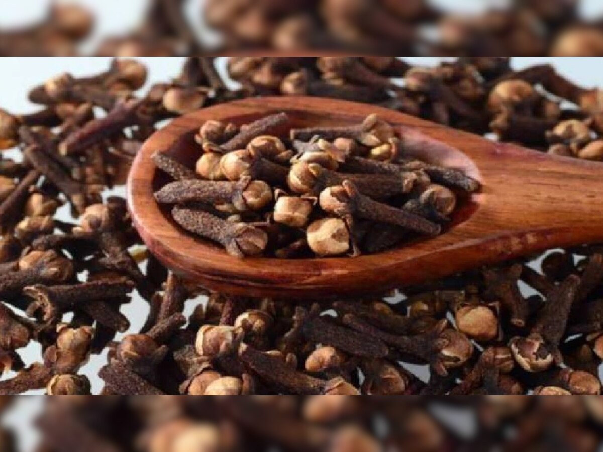 Cloves Benefits: पुरुषों के लिए बड़े काम की होती है लौंग, इसके जबरदस्त फायदे आपको खुश कर देंगे