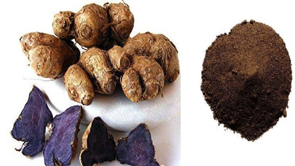 Black Turmeric has medicinal properties like antifungal antiasthma