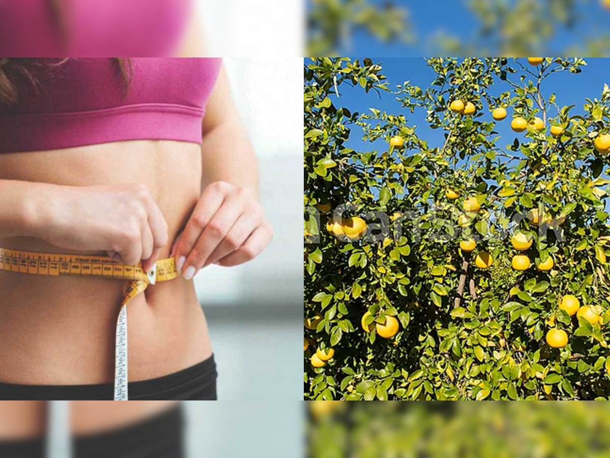 Weight Loss: इस एक फल को खाने से कम हो जाएगा वजन, जल्द मिलेगी Flat Tummy