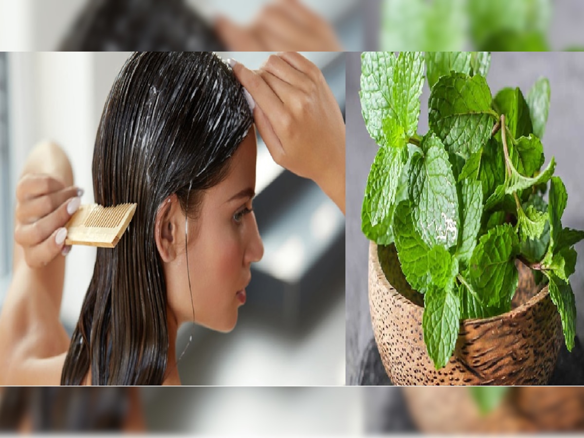 Tulsi Hairpack: तुलसी के इस होममेड हेयर पैक से मिलेगी बालों को मजबूती, जानें विधि 