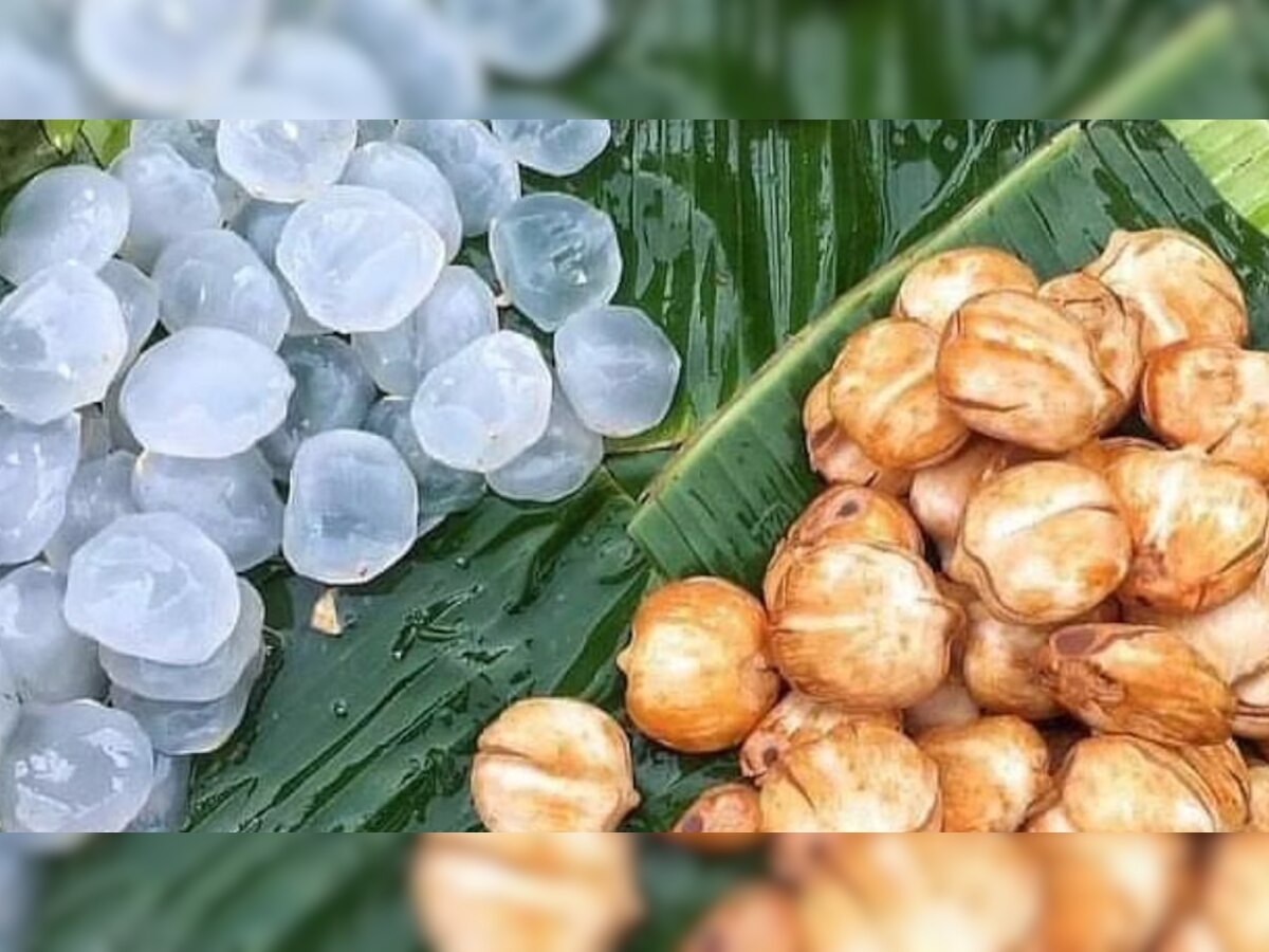 Ice Apple benefits: इस फल में है कई बीमारियों का संपूर्ण इलाज; लू से दूर रखने के अलावा करता है ये 7 काम