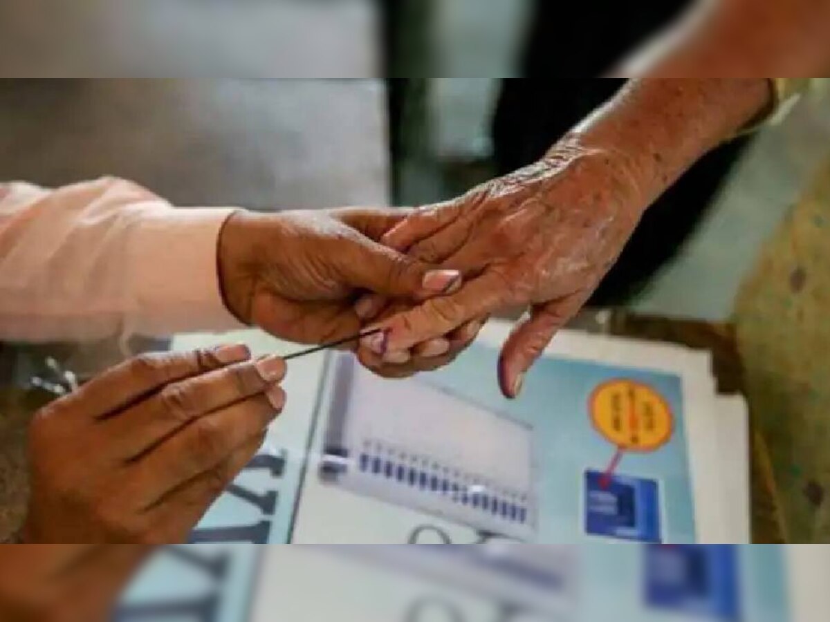 निकाय चुनाव : हरियाणा में 70.4 फीसदी मतदान, रेवाड़ी में सबसे ज्यादा 84.6% वोटिंग 