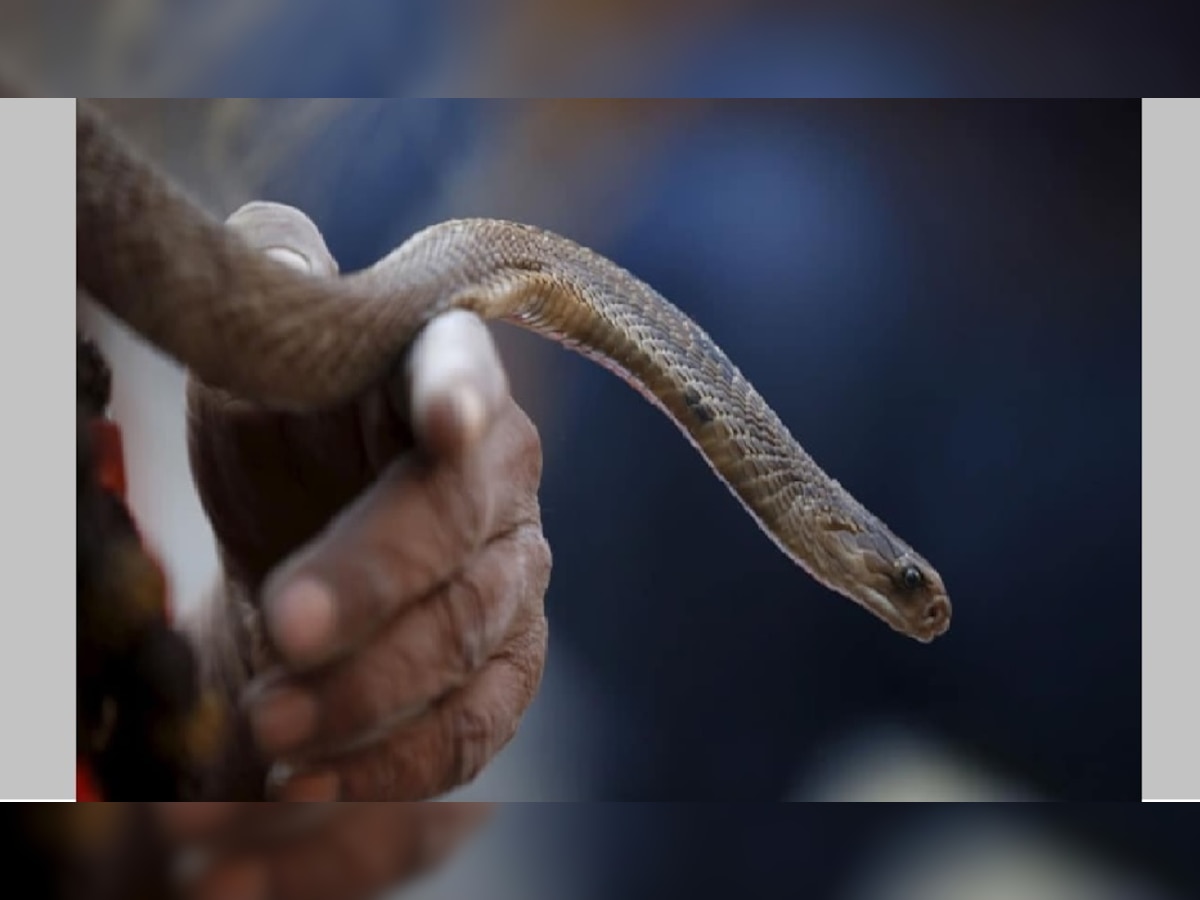 प्रतीकात्मक फोटो