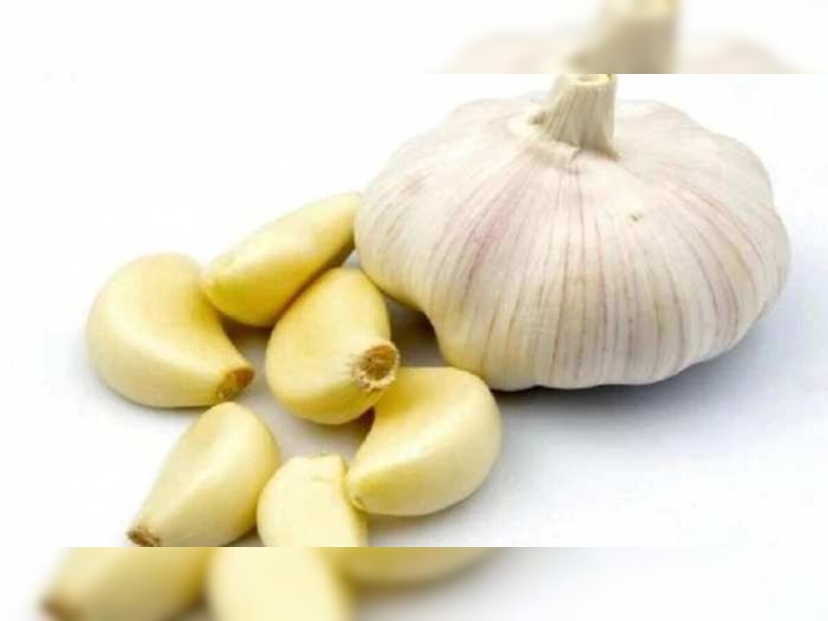 Benefits Garlic: पानी के साथ खाएं लहसुन की दो कलियां, फायदे चौंका देंगे 