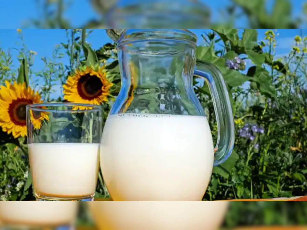 Milk benefits: सिर्फ फायदा ही नहीं नुकसान भी करता है दूध; जानें