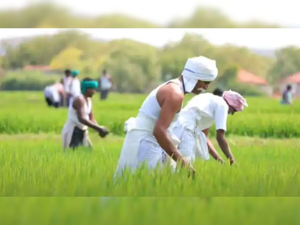 PM Kisan: 12वीं क‍िस्‍त से पहले क‍िसानों के ल‍िए खुशखबरी, इस योजना को फ‍िर शुरू कर रही सरकार