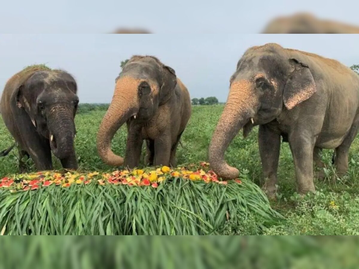 प्रतीकात्मक तस्वीर