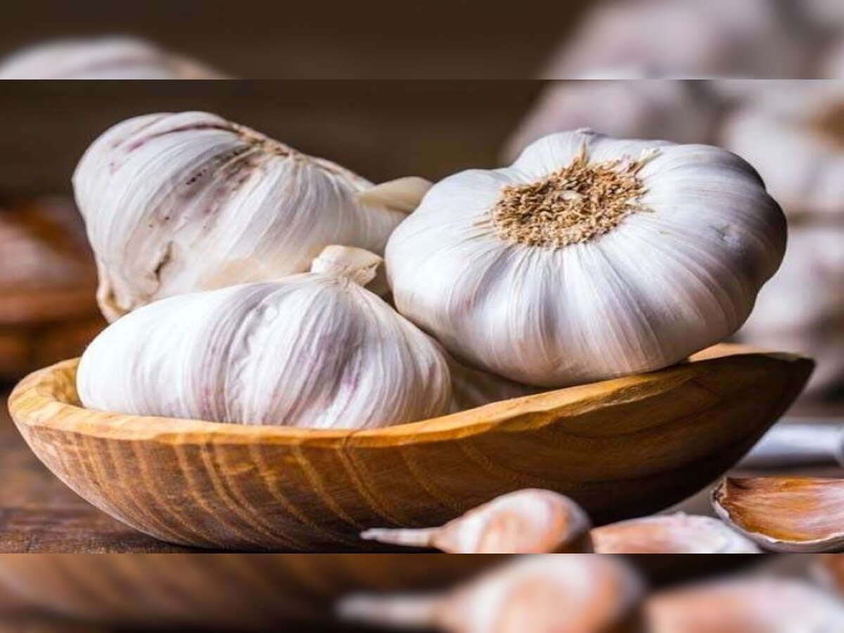 Garlic: इन लोगों को भूलकर भी नहीं खाना चाहिए लहसुन, बिगड़ सकती है सेहत