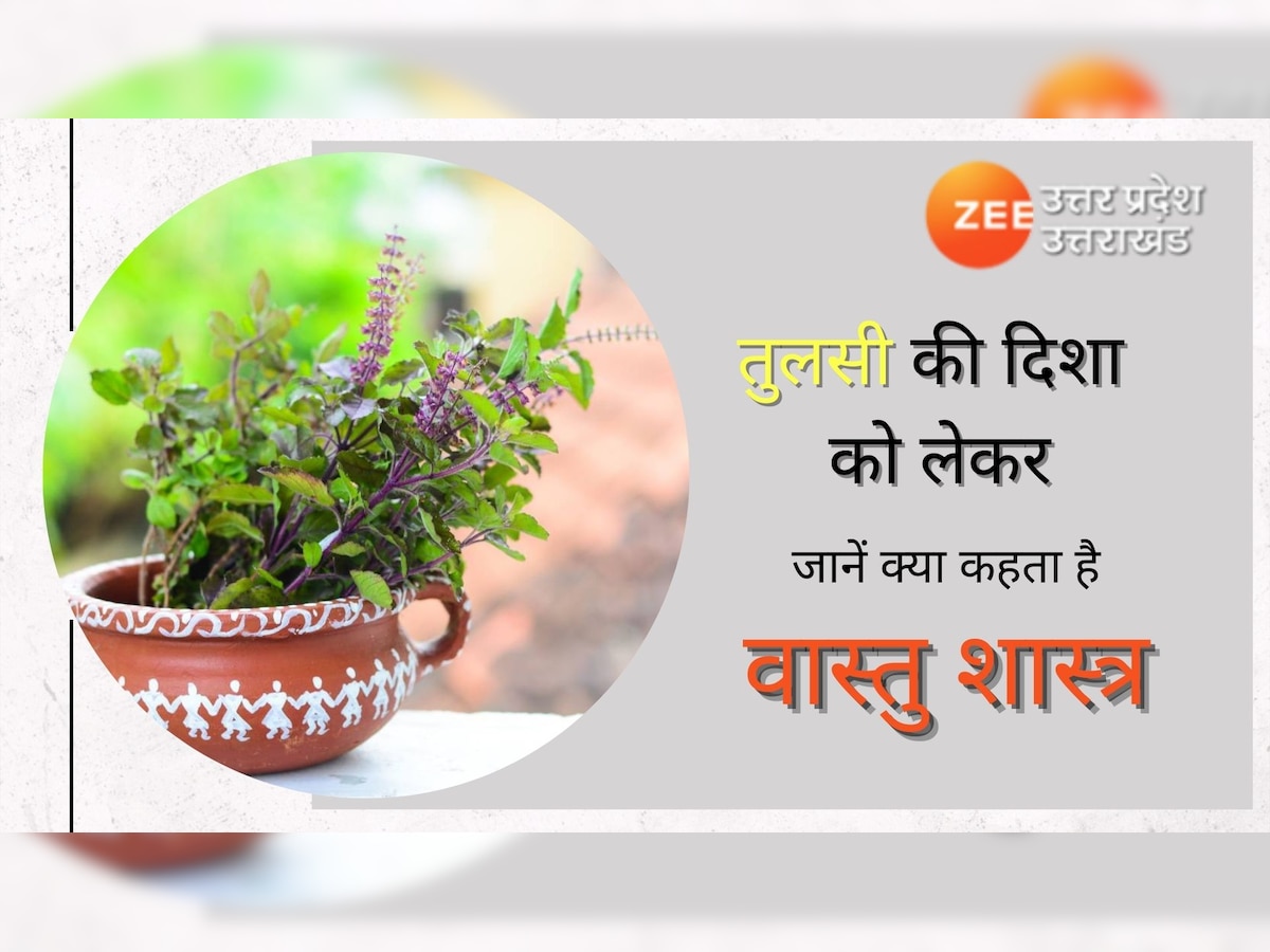 Vastu Tips: तुलसी के पौधे की यह है सही दिशा, इस दिन न चढ़ाएं जल, न ही तोड़ें पत्तियां