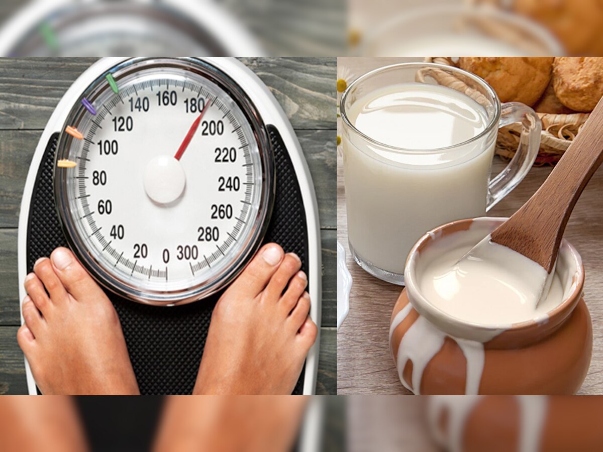 Weight Loss Foods: वजन घटाने के लिए दूध और दही में क्या है बेहतर? जानिए पूरी डिटेल