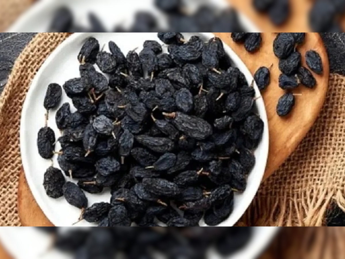 Benefits Black Raisins: काली किशमिश से बनती है गजब की सेहत, जानिए फायदे 