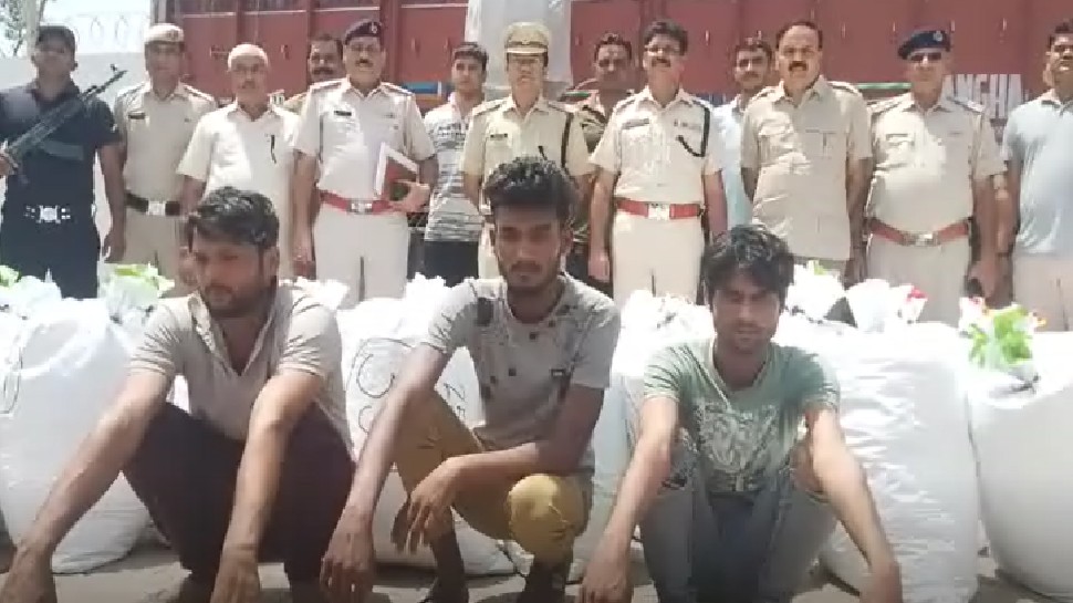 Ganja was being taken under the guise of animal fodder intelligence ...