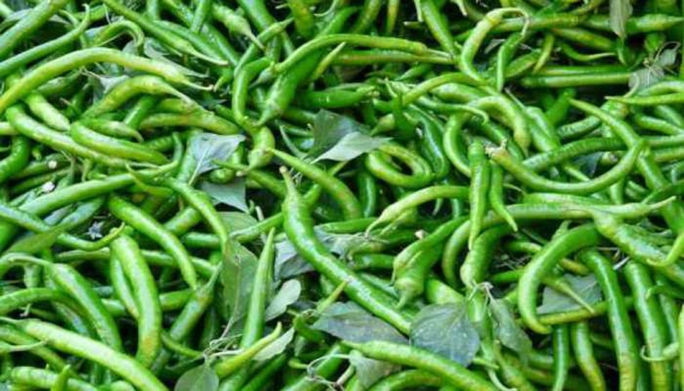 Green Chilli Health Benefits or Harms: Know the reason behind it