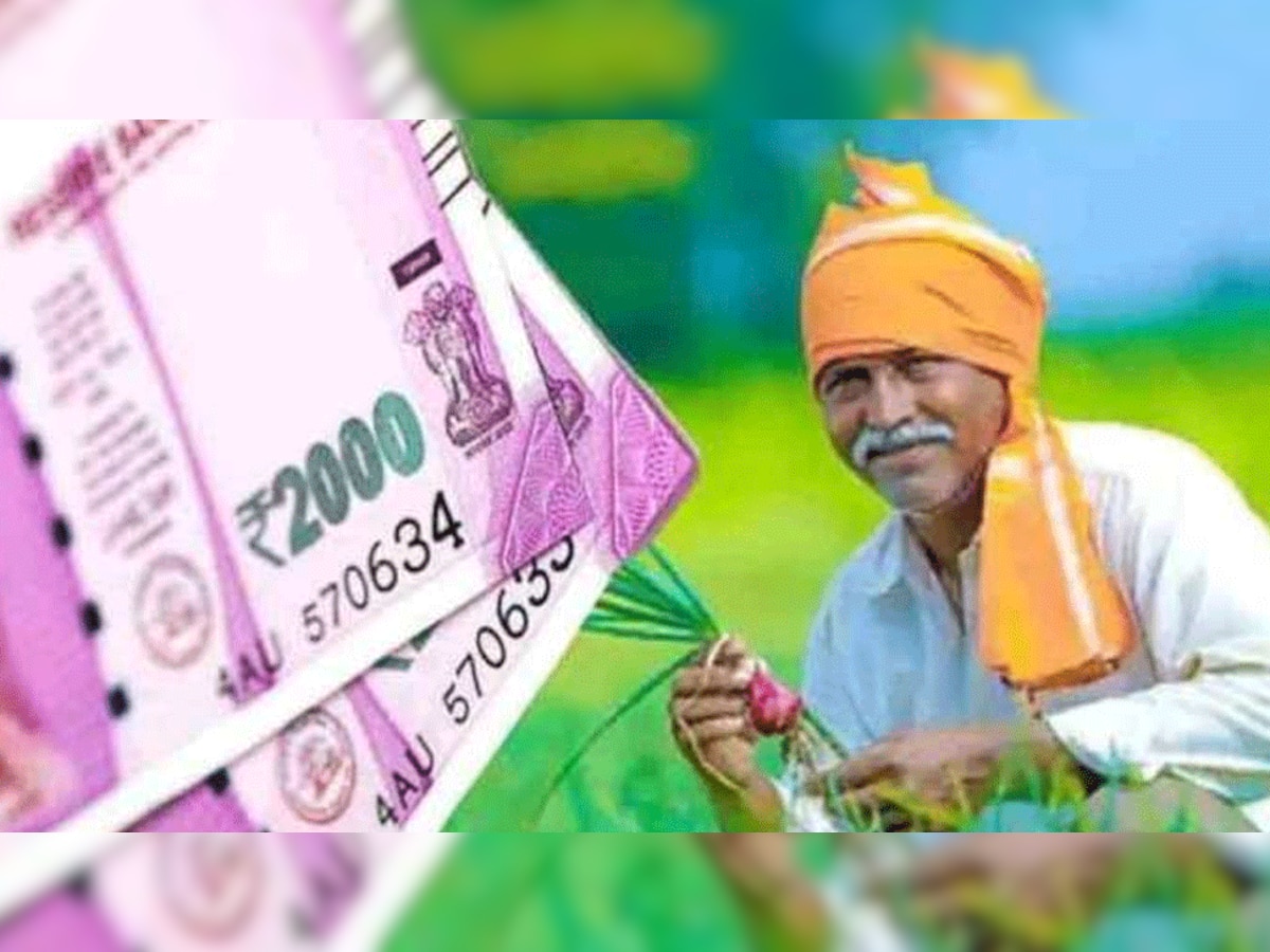 PM Kisan Samman Nidhi: 11वीं किस्त लेने वाले किसानों को लगा बड़ा झटका, वापस करने होंगे पैसे