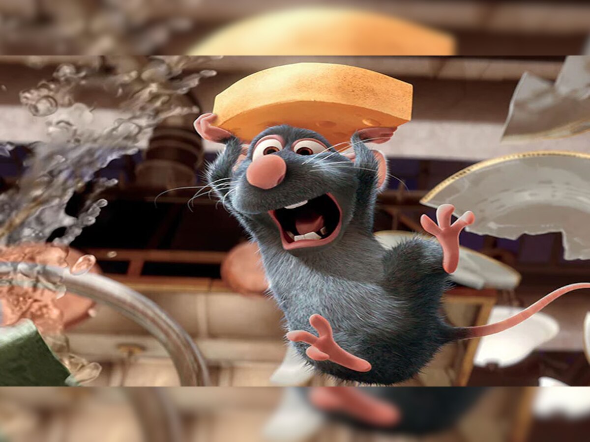 Trending: क्यूटनेस में इस चूहे ने Ratatouille को भी किया फेल, VIDEO देख बन जाएंगे इसके फैन