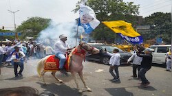 By-elections: तीन लोस और चार विस सीटों में जानें, किस पार्टी के खाते में क्या मिला?