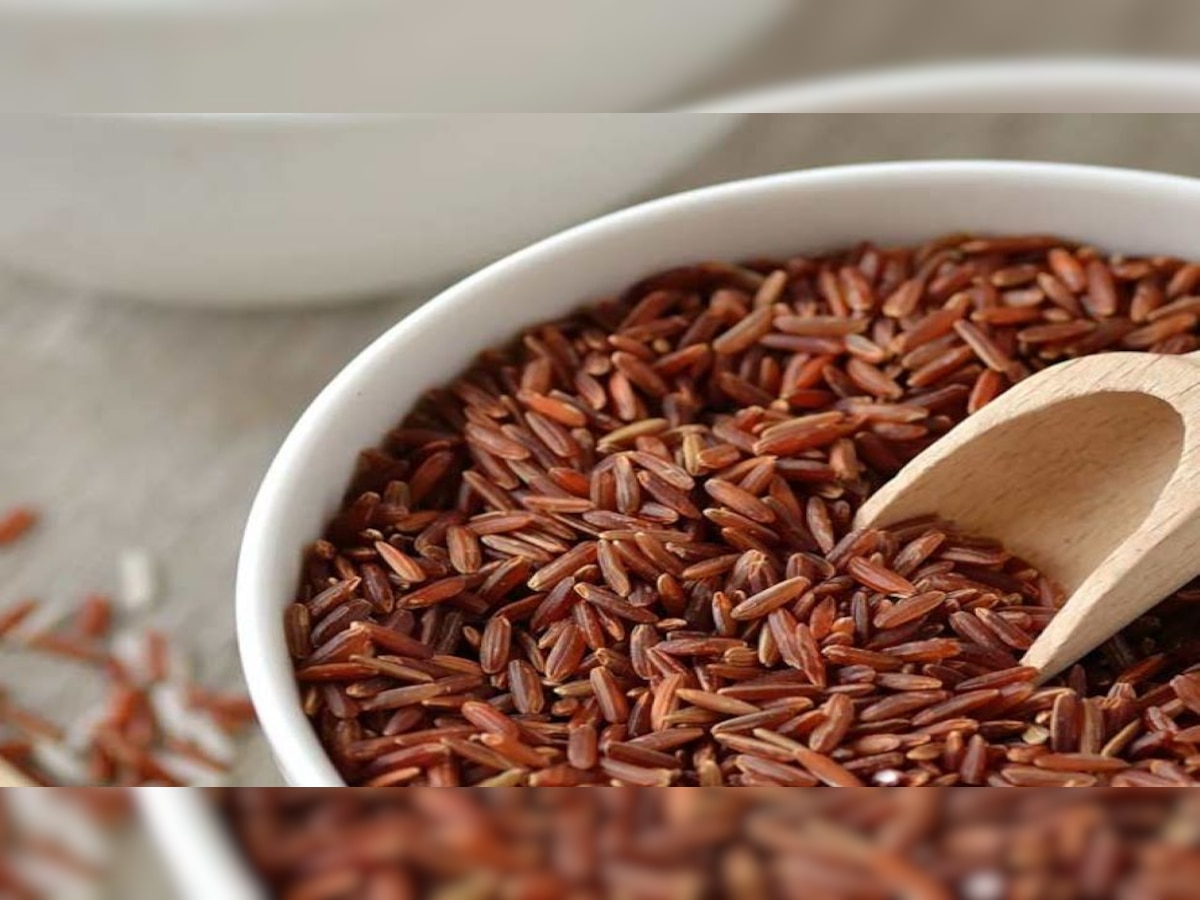 Brown Rice: ब्राउन राइस खाने से ब्लड प्रेशर रहता है कंट्रोल, जानें इसके गजब के फायदे