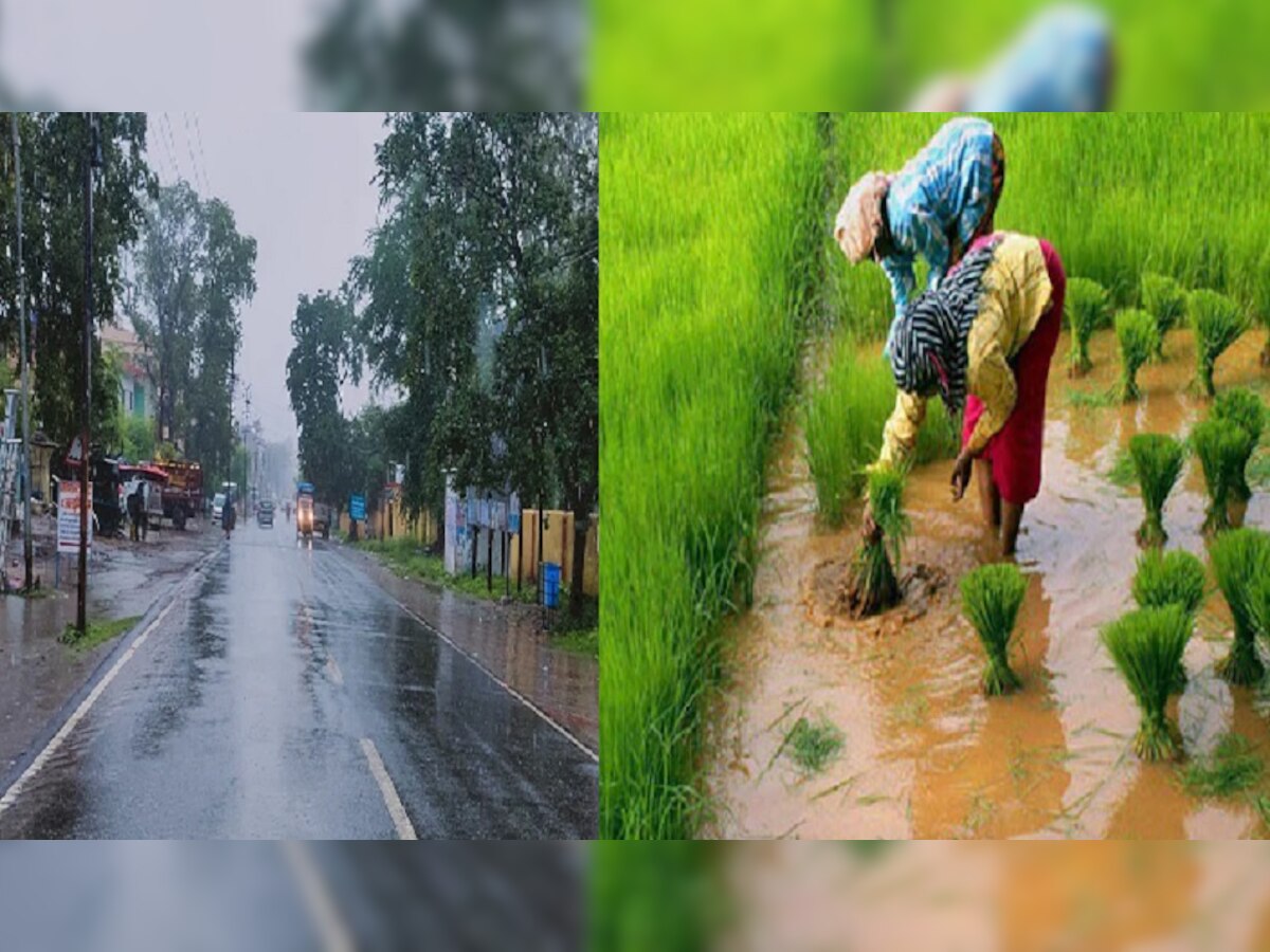 Jharkhand:झारखंड में अच्छी बारिश होने से किसानों में दिखी खुशी की लहर 