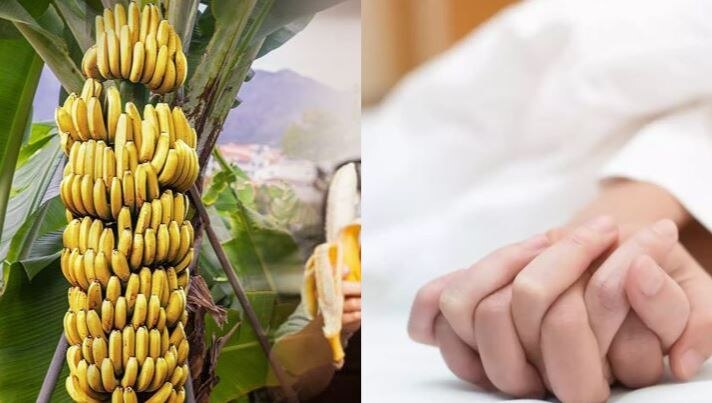Banana Benefits for Men: केला दूर करता है पुरुषों की कमजोरी, इस तरह केला खाने से नहीं होती है थकान