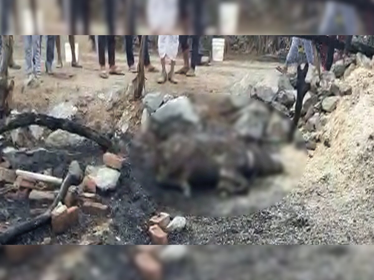  बाड़ों में लगी भीषण आग, 5 से 6 मवेशी जिंदा जलकर हुए राख, अन्य सामान भी जला