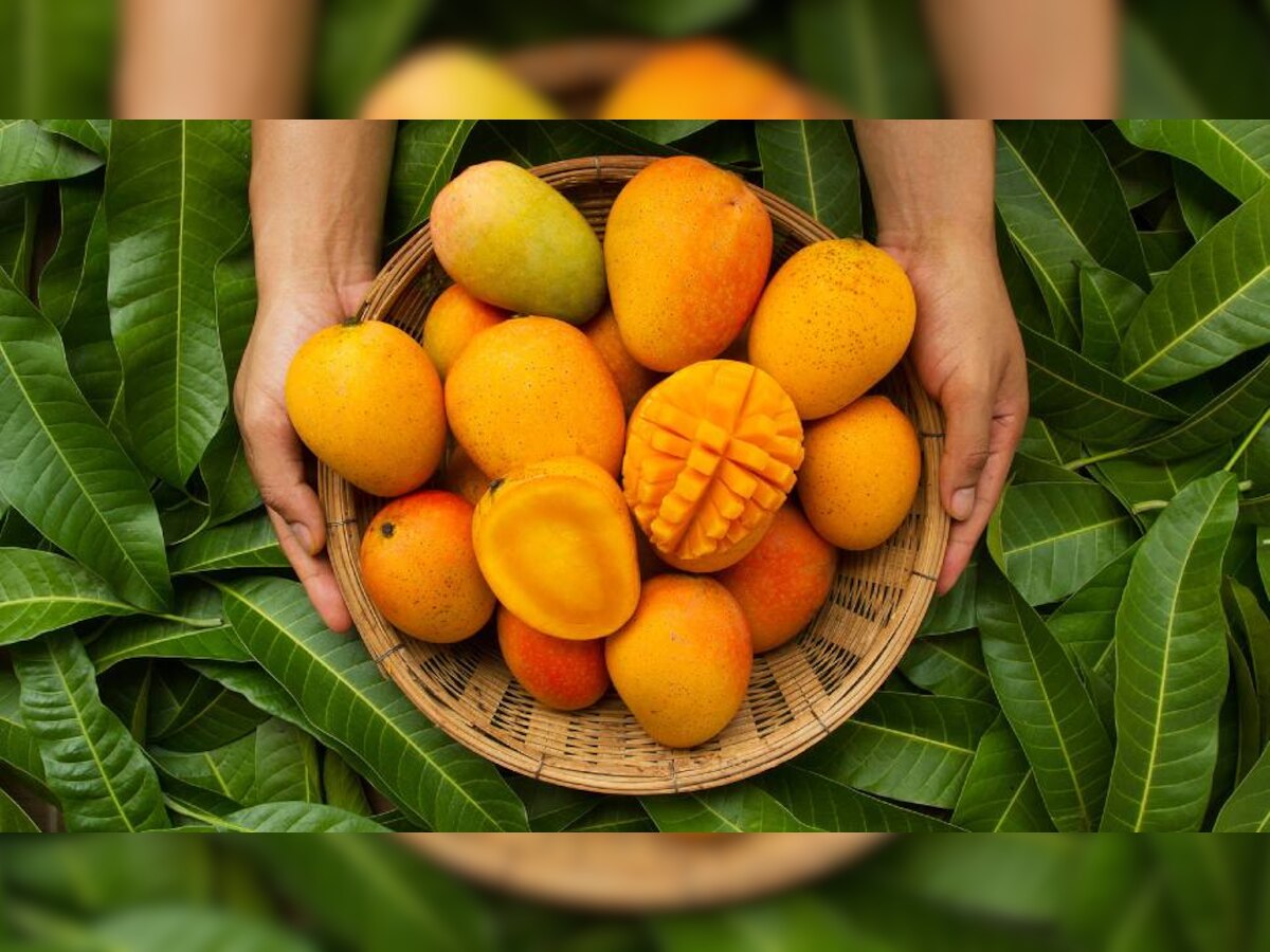 Benefits of Mango: आम के सेवन से High Blood Pressure होगा कंट्रोल, चेहरे पर आएगा निखार