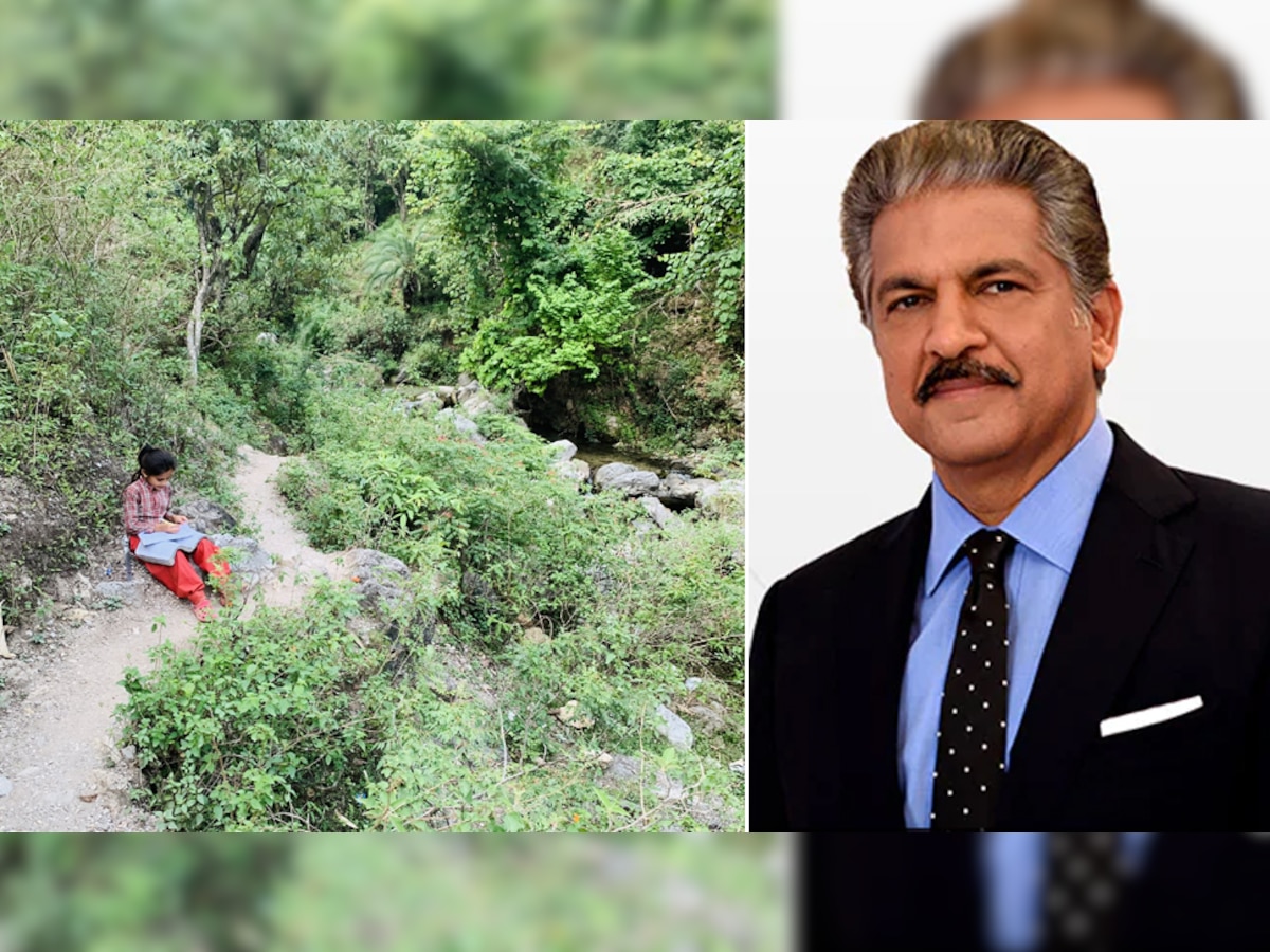 Anand Mahindra ने शेयर की छोटी बच्ची की तस्वीर तो लोगों ने पूछा- आपने कितनी पढ़ाई की है? फिर मिला ऐसा जवाब