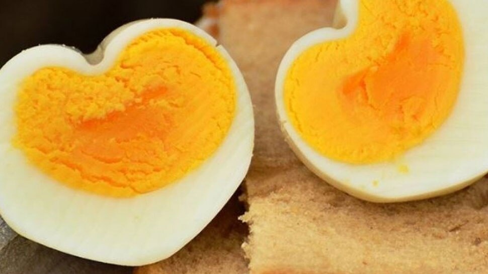 Egg Yellow Part Never eat truth contain high levels of cholesterol