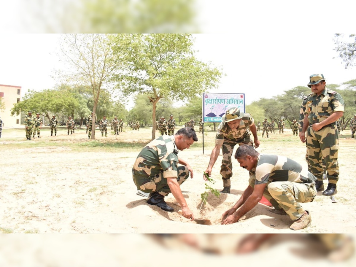 घड़साना के निकटवर्ती BSF छावनी में वन महोत्सव शुरू, चौकियों पर लगेंगे 8 हजार पौधे 