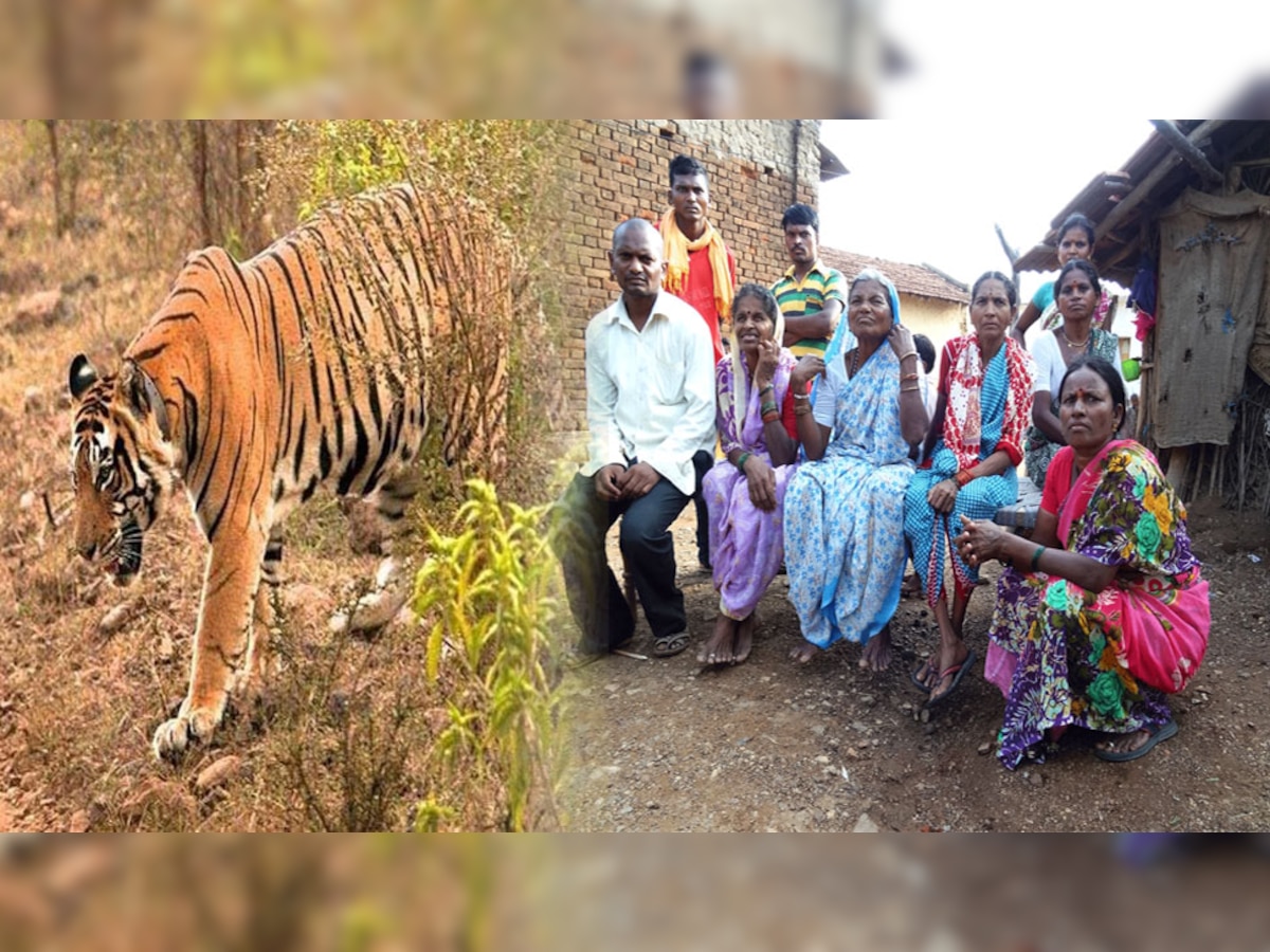 बाघ अभयारण्य के अंदर के गांवों को बाहर निकालने की जरूरत.