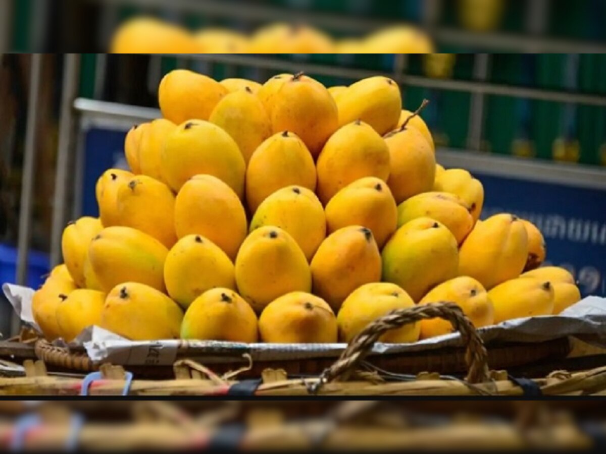 Mango: आम खाने के है शौकीन, तो जानें 'फलों के राजा' के बारे में रोचक तथ्य 
