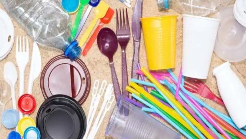 Plastic Ban: 1 जुलाई से पूरी तरह बैन होगा सिंगल यूज प्लास्टिक, सरकार ने इसलिए उठाया ये सख्त कदम