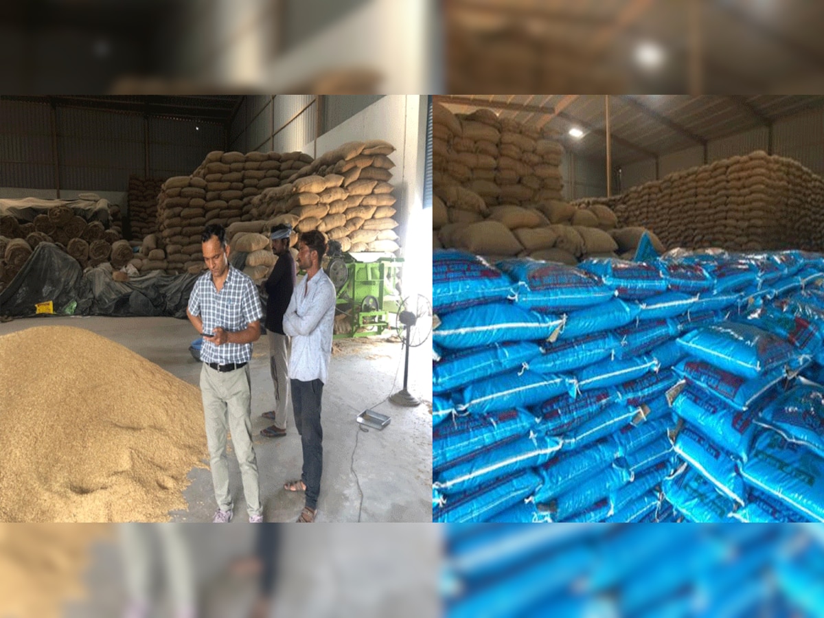 नकली धान की बीज के 723 कट्टे जब्त, अब बूंदी के चावल की गुणवत्ता पर सवाल 