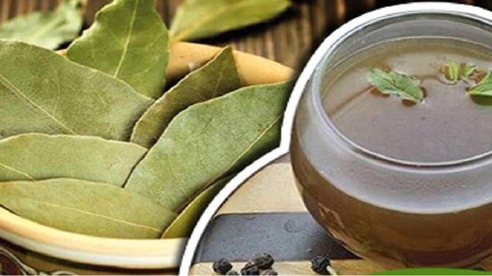 Bay leaf Kadha Recipe tej patta ke fayde health benefits of Tej patta