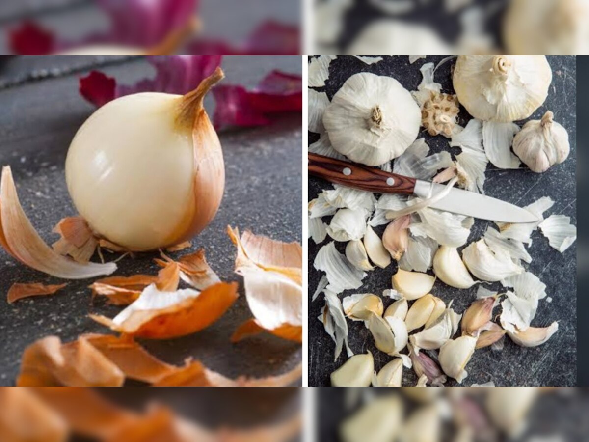 Onion and Garlic Peels: प्याज और लहसुन के छिलके कूड़ेदान में न फेंकें, इन फायदों से रह जाएंगे महरूम