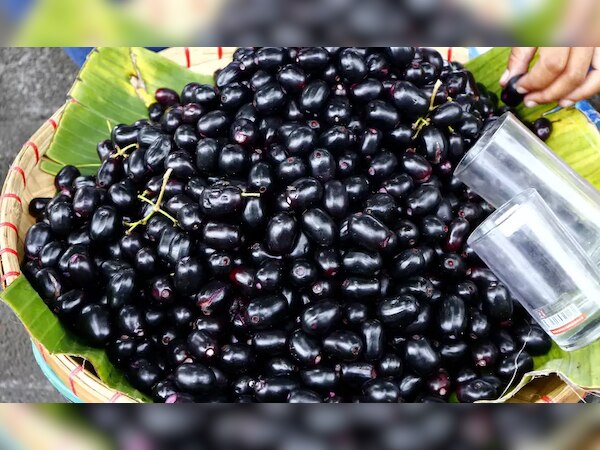 Jamun benefits: गर्मियों का बेताज बादशाह है जामुन; हर उम्र के लोगों के लिए बेहतरीन चीज