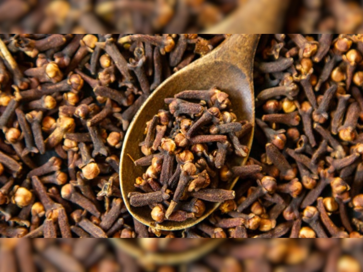 Cloves Benefit: जानें लौंग खाने के फायदे, तेजी से कम करता है वजन