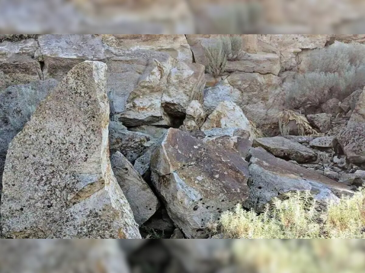 Optical Illusion: इन पत्थरों के बीच छिपा हुआ है एक खरगोश, ढूंढ पाने में नाकाम हुए लाखों लोग; क्या आपको दिखा?