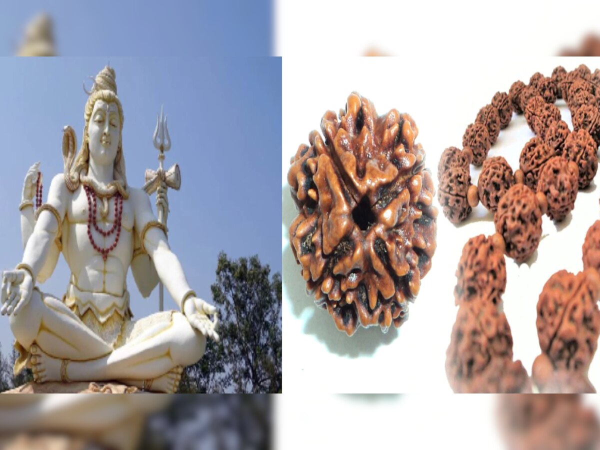 Shiv Rudraksha: शिव जी को क्यों प्रिय है रुद्राक्ष? जानिए महत्व