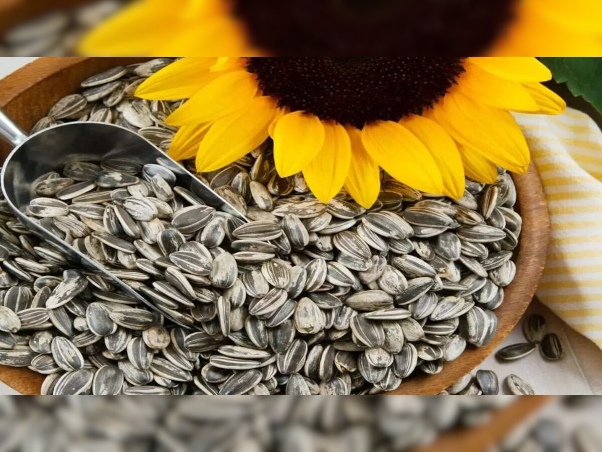 weight loss tips sunflower seeds will help in reducing obesity benefits