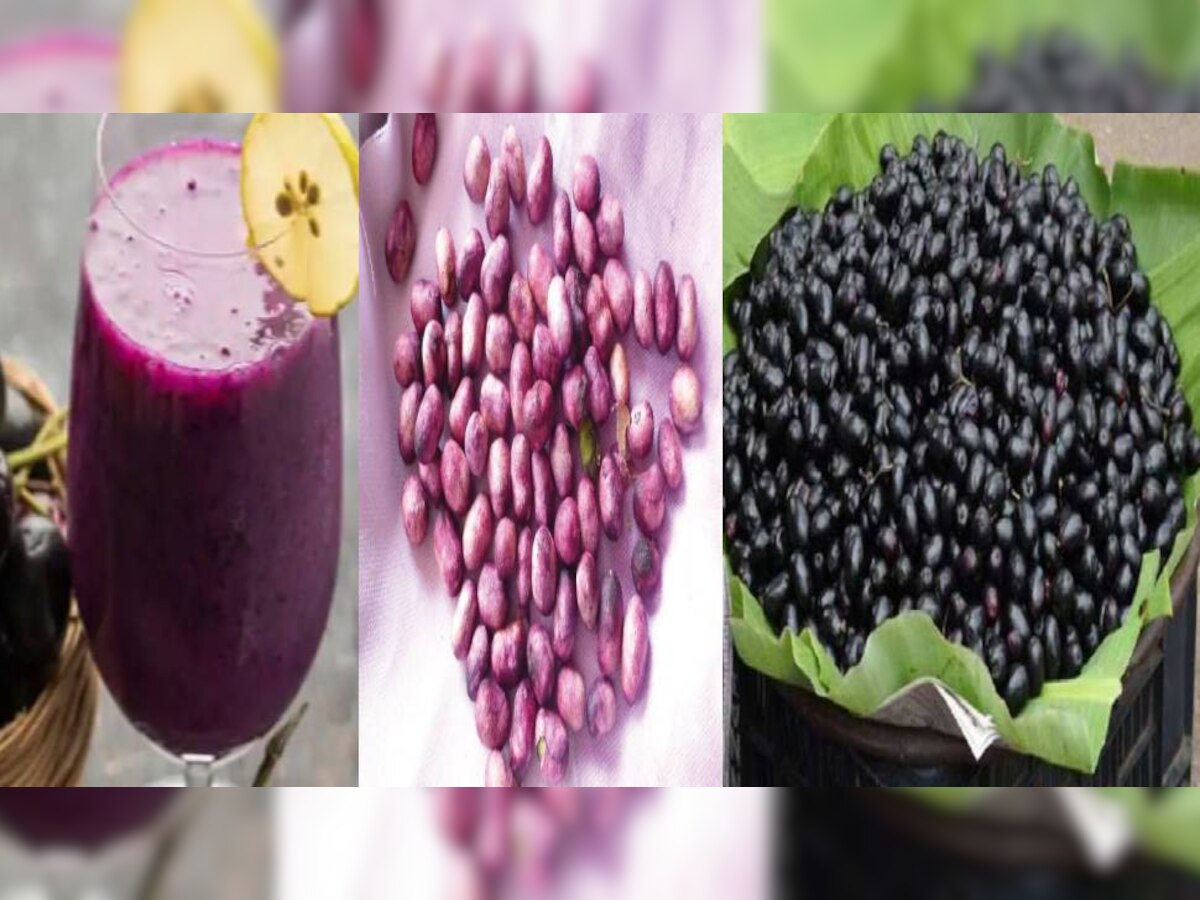 Jamun Benefits: इन बीमारियों को जड़ से उखाड़ देते हैं जामुन के बीज और छाल, ऐसे करें इस्तेमाल