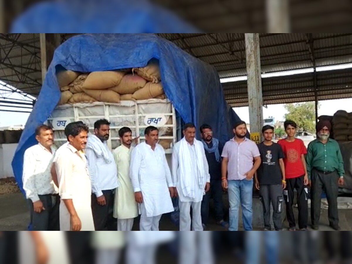 शाहाबाद अनाज मंडी में सामने आया सूरजमुखी की खरीद में भारी घोटाला, जांच की मांग 