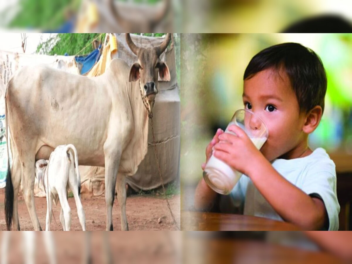 क्या आप जानते है कि इंसानों ने जानवरों का दूध पीना क्यों शुरु किया ?