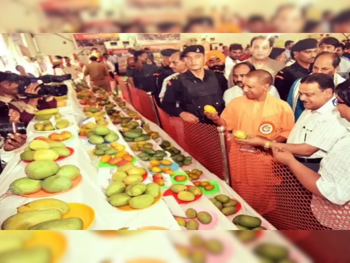 Lucknow Mango Festival: ଆମ୍ବର ନାମକରଣ କଲେ ମୁଖ୍ୟମନ୍ତ୍ରୀ ଯୋଗୀ 