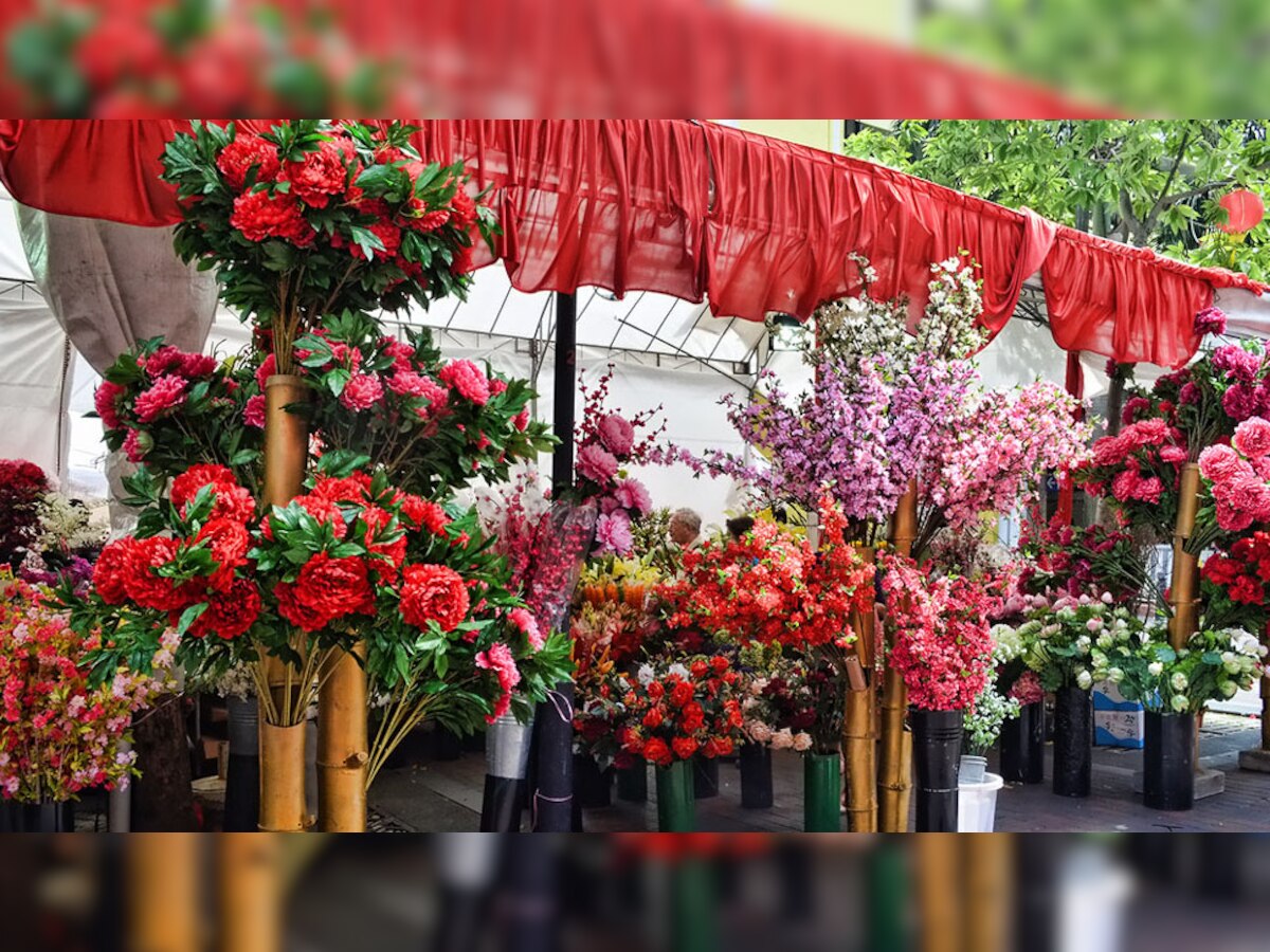 Artificial Flowers: क्या घर में आर्टिफिशियल फूल लगाने सही होते हैं? बहुत काम की है ये जानकारी, बदल देगी आपका भाग्य