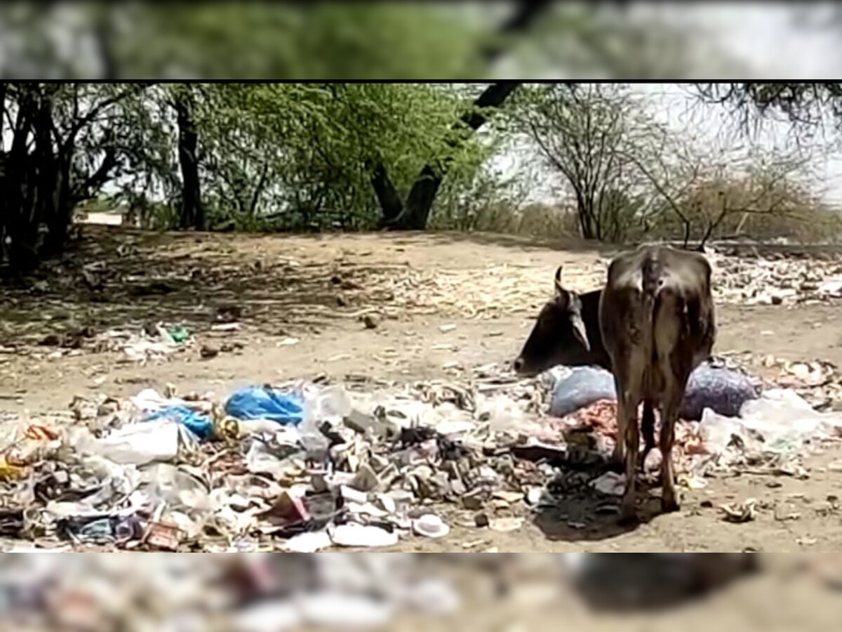 Bilara: स्वच्छ भारत अभियान को लेकर नगर पालिका के खोली पोल, हर जगह लगे कचरे के ढेर 