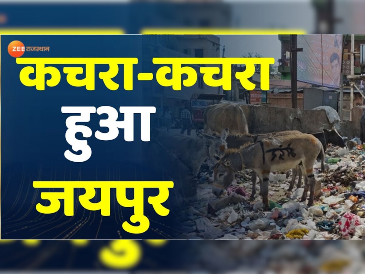 जयपुर शहर में कचड़ा-ही कचड़ा.