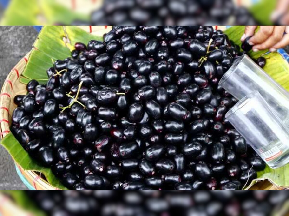 advantages and disadvantages of eating jamun in hindi benefits of jamun
